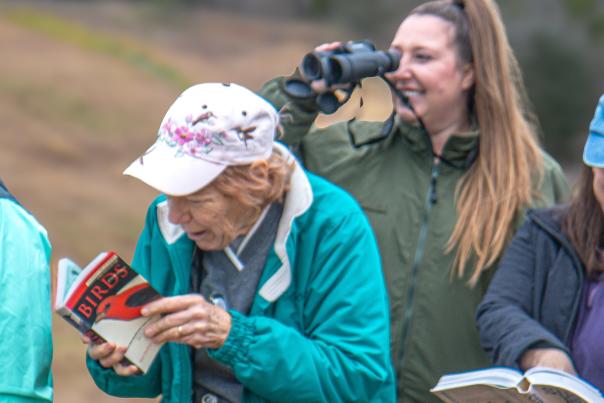 Birding Bastrop