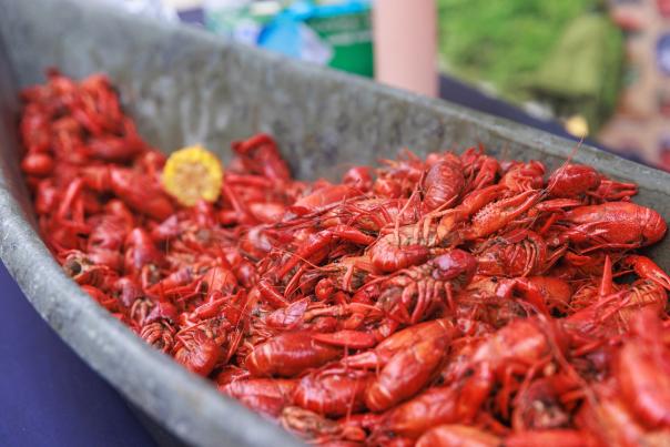 Crawfish