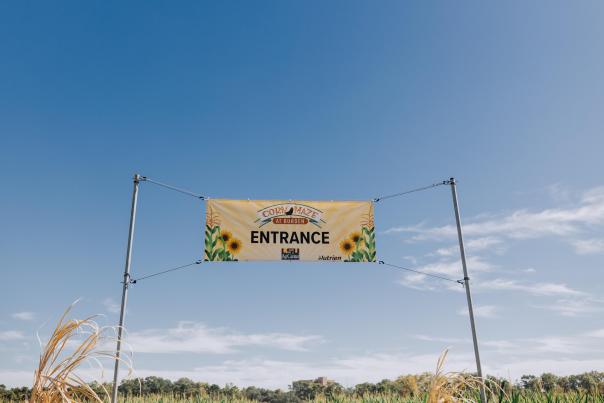 Corn Maze Entrance
