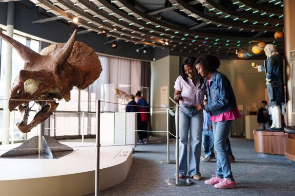 Louisiana Art & Science Museum