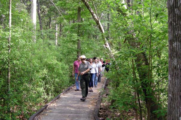 Big Thicket National Preserve Ranger Hike