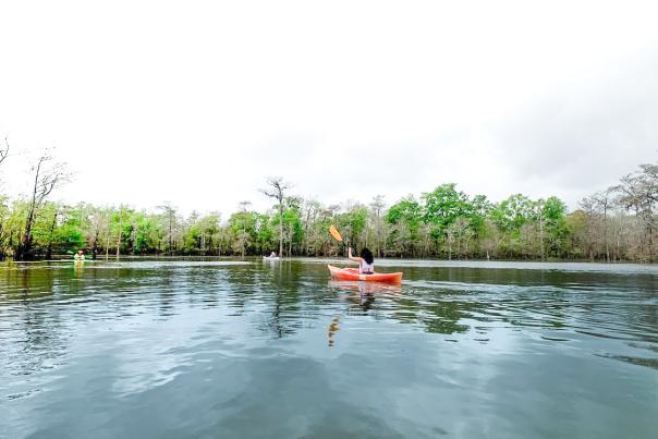 A lone visitor kayaks through the waters of Big Thicket near Beaumont.
