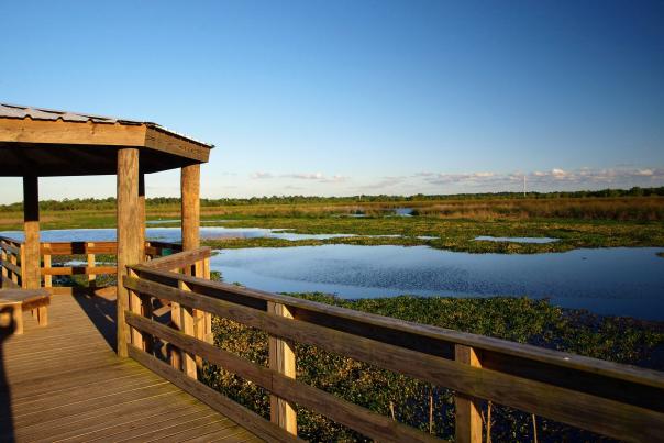 Cattail Marsh boardwalk in Beaumont, Texas