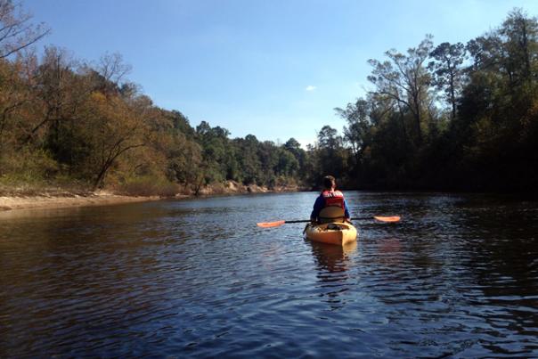 Person Paddling Village Creek Paddle in the Big Thicket near Beaumont, TX