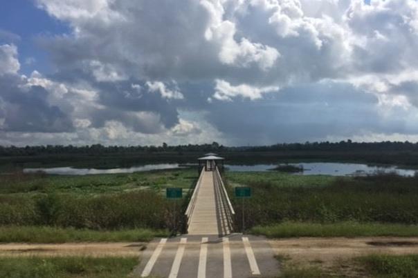 Cattail Marsh Wetlands