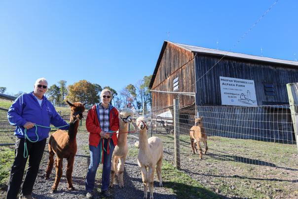 Meepah Ventures Alpaca Farm
