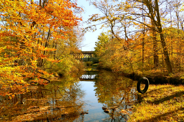 Fall in Bedford County PA