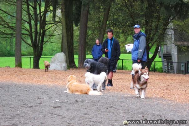 Robinswood Dog Park