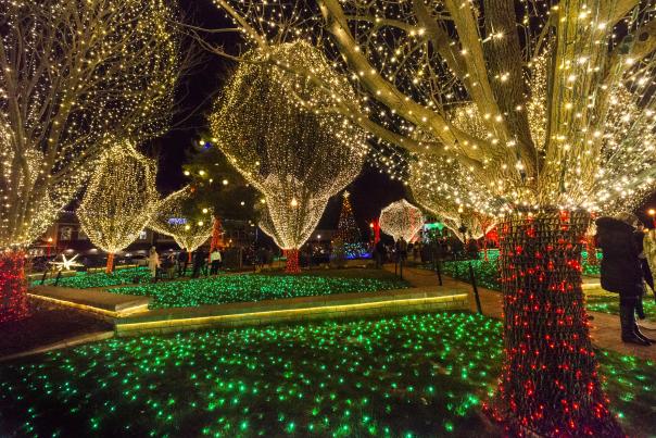 Holiday Lights on the Square