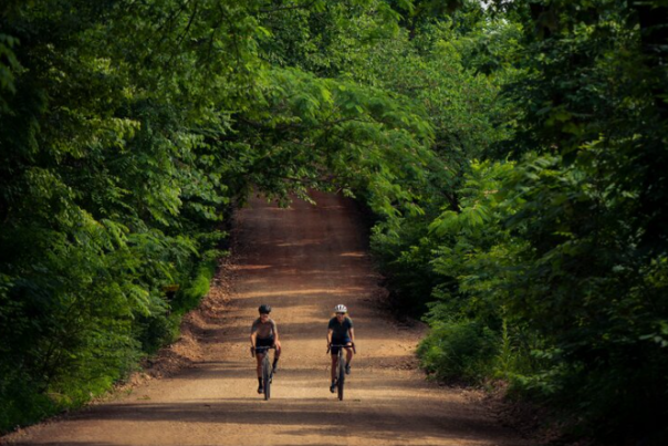 Two bikers riding in the middle of a dirt road surrounded by green trees