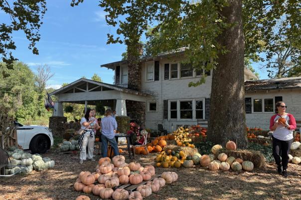 Turnbuckle Farms Beth Bobbit