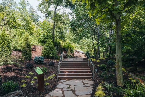 Nature of Bentonville