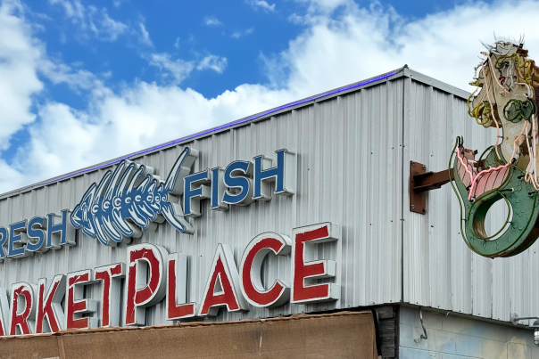 Blu Fish