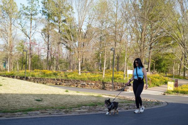 Dog Walking