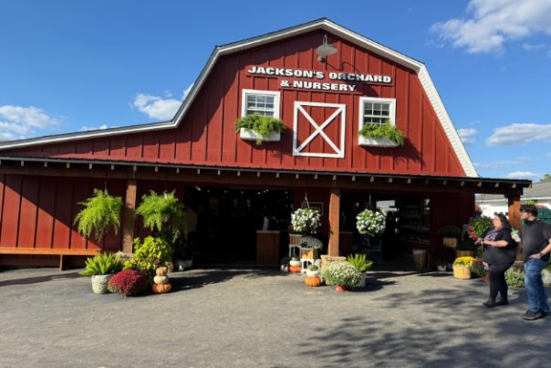 Jackson's Orchard