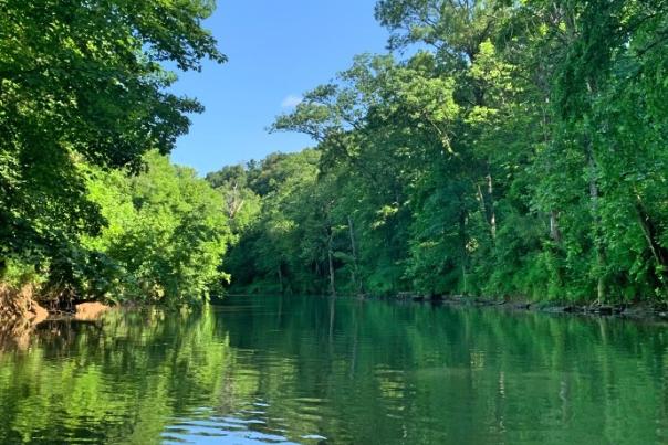 View of Drakes Creek from canoe near Bowling Green, Kentucky