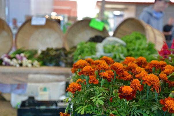 Flowers and containers of produce at a Bowling Green farmer's market.