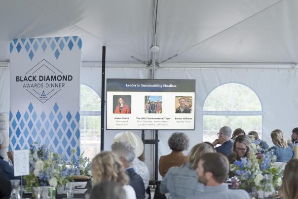 Black Diamond Awards
