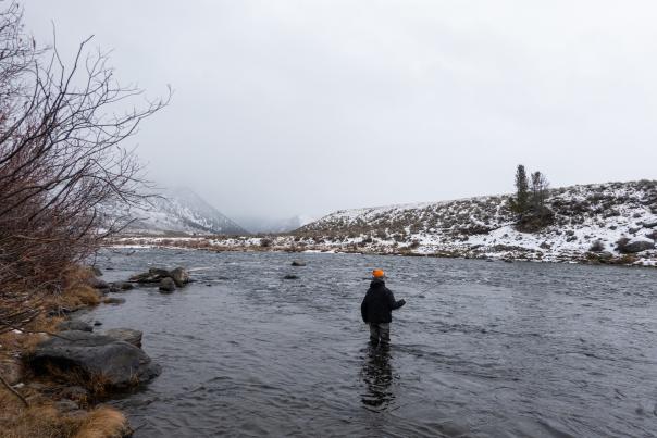 Winter Fly Fishing