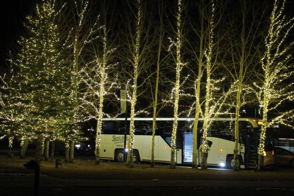 Skyline Bus at night