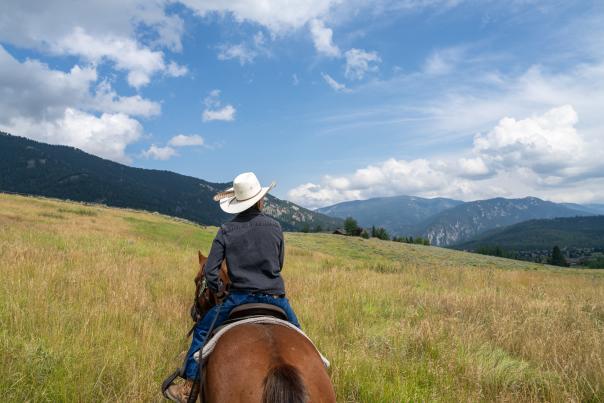 A person on horseback gazes over a vast, grassy landscape with rolling hills and mountains under a partly cloudy sky.