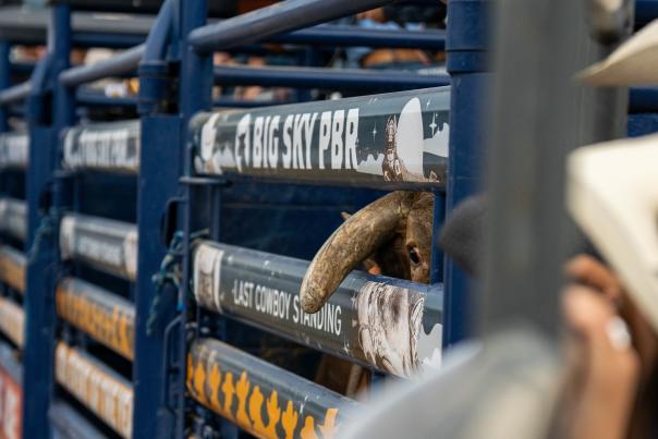 Big Sky PBR