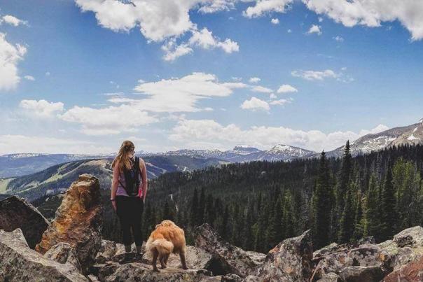 The Mountain Ranges Of Big Sky Country