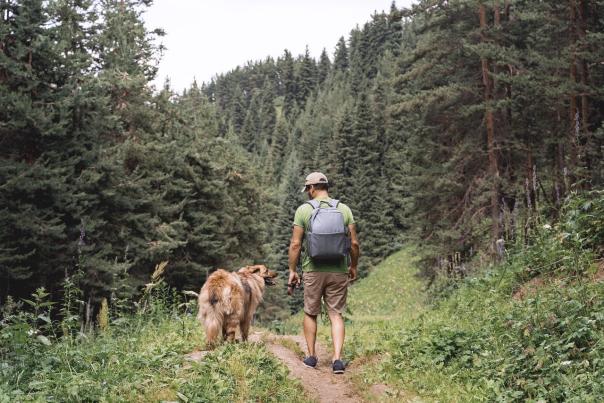 Dog-Friendly Hikes in Big Sky