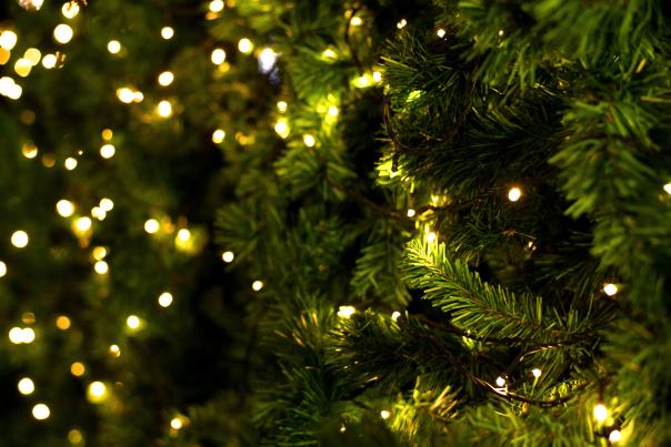 Holiday Theme