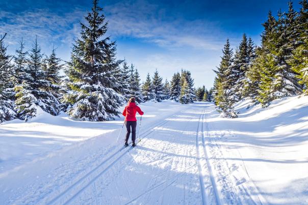 Cross country skier on a snowy trail surrounded by pine trees