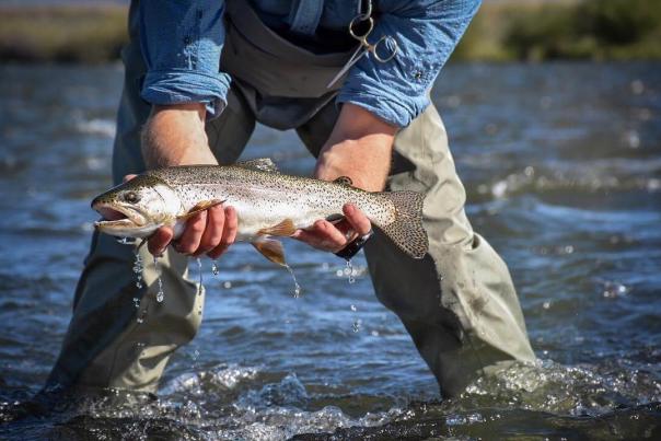 6 Tips For Successful Catch and Release Fishing