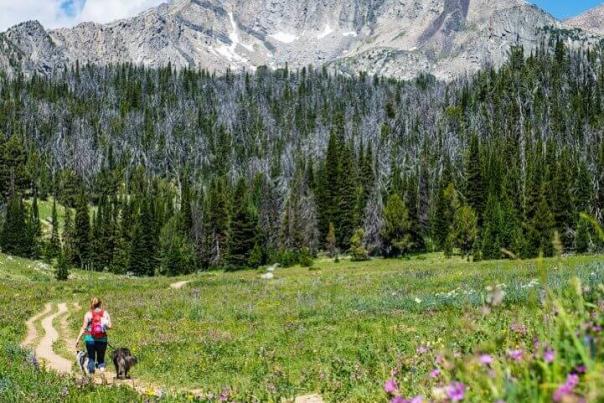 10 Hiking Essentials In Big Sky Country