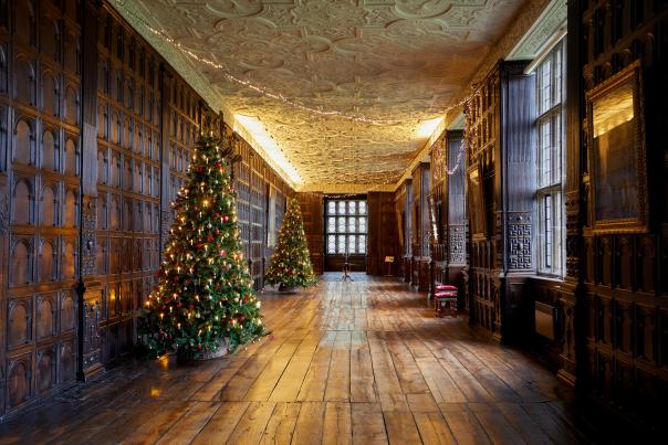Birmingham Museums Sprinkles Some Festive Magic