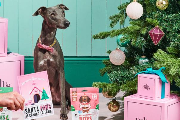 Table for ‘howl’ many? Bill’s launches festive dog menu across restaurants nationwide