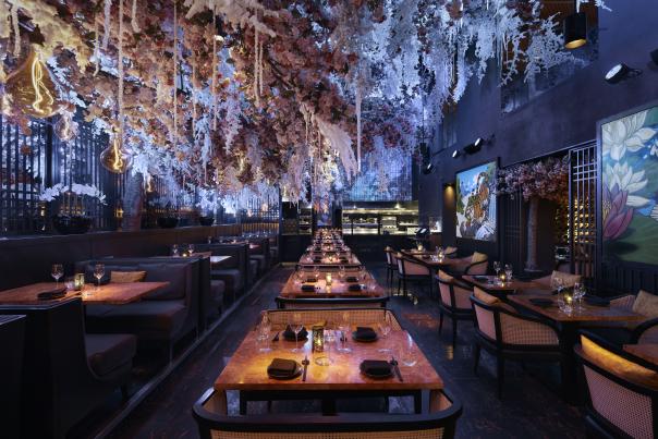 Dine under an Aurora Borealis light show at Tattu Birmingham this winter 