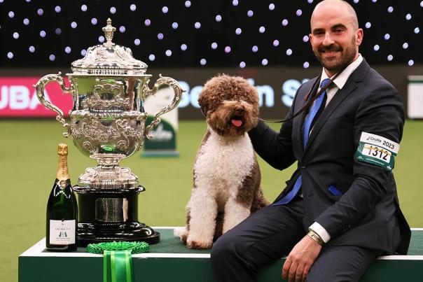 Crufts Returns to the NEC for its 4-day Show
