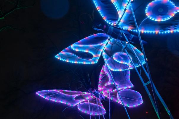 Light Festival