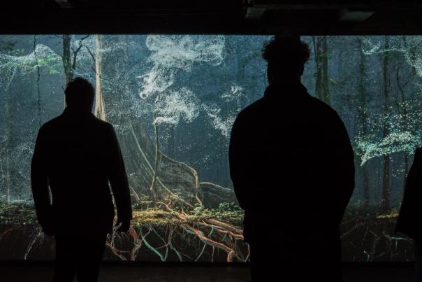 Breathing with the Forest