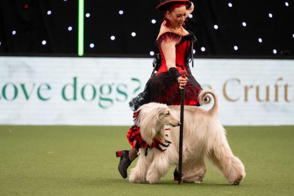 Crufts