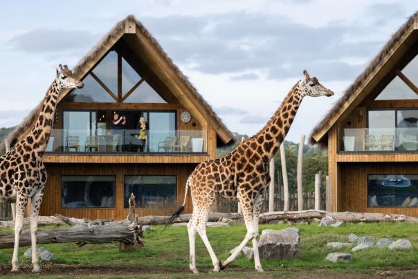 WMSP