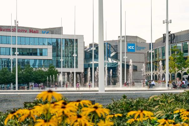 VB - ICC