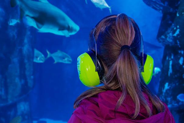 SEA LIFE Neurodiversity