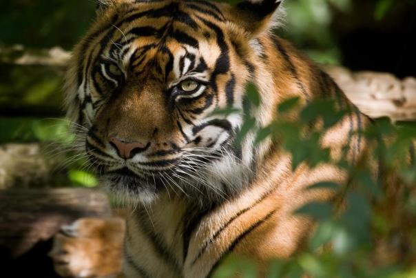 Visit Birmingham's top weekend picks - 14-16 April 