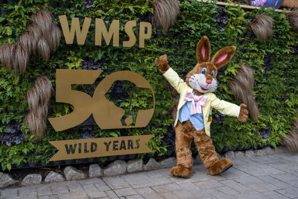 Egg-citement as West Midland Safari Park celebrates its Golden Year...