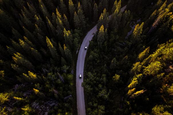 Nemo Road