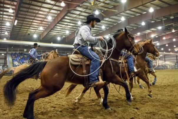 Black Hills Stock Show & Rodeo