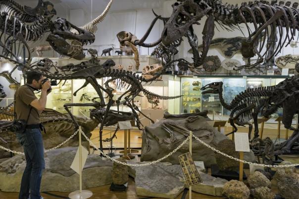 institute geology