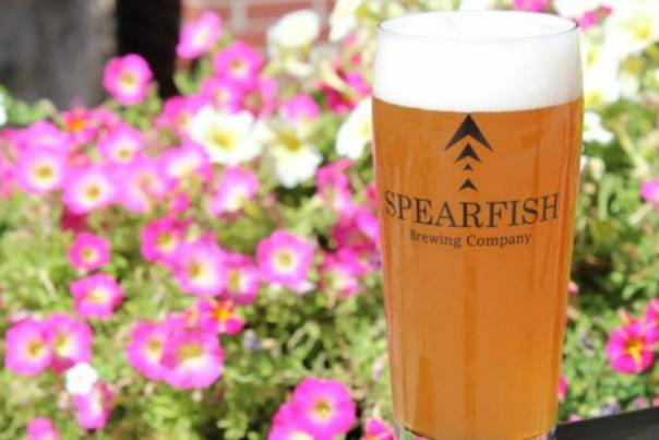 Sipping Through Spearfish: A Guide to Navigating the Craft Beer Scene