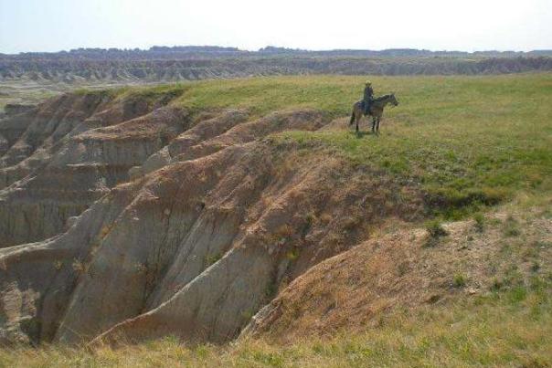 Saddle up, and don't forget your horse!