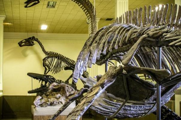 Mysteries at the Museums